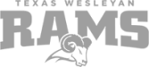 School-Logos-Grey_0003_Texas-Wesleyan
